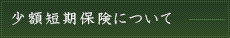 少額短期保険について